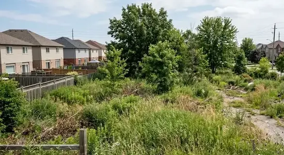 Overgrown vacant residential land with tall grass, scattered trees, suburban homes nearby, natural daylight view. -Sell My Land Quickly. -1