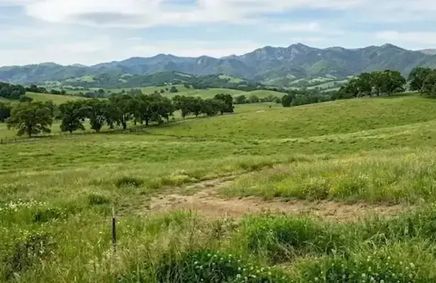 Lush green parcel of land. -Sell My Land Fast, How can i sell my land fast