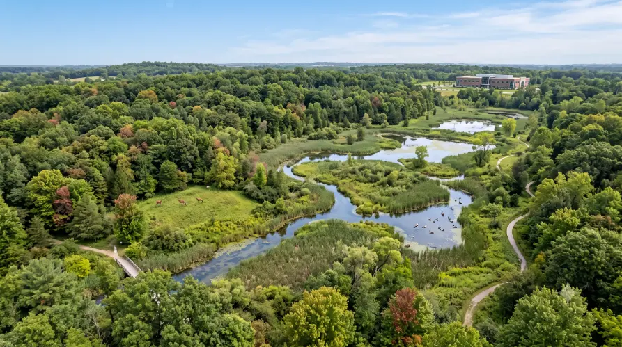 Scenic aerial view of preserved forest and wetlands-Can I Sell My Land to Government? 2